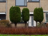 Händellaan 49, 2253 BK Voorschoten