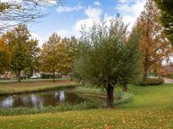 Papaverstraat 17, 4761 ZK Zevenbergen