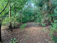 Weddermarke 12 A, 9698 AZ Wedde