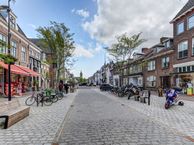 Langendijk 1, 4132 AH Vianen (UT)