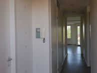 Basilica 37, 6661 TT Elst (GE)