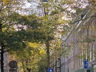 Frans Halsstraat 36 III/IV, 1072 BS Amsterdam