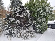 Hezer Enghweg 22, 3734 GR Den Dolder