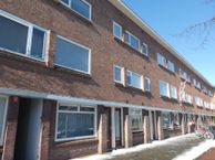 Rijnlaan 39 a, 3522 BB Utrecht