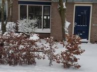 Keetjesbongerd 7, 4041 RG Kesteren