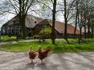 Bremmelerstraat 2, 8131 PK Wijhe