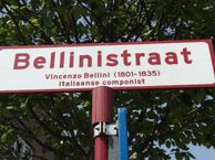Bellinistraat 7, 3261 WE Oud-Beijerland