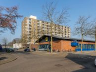 Rietzangerstraat 133 *, 3815 ED Amersfoort