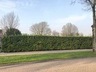 Dullaertstraat 41 A, 4561 KA Hulst