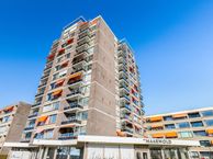 Nesciolaan 42, 9752 HN Haren (GR)