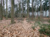 Ruiterweg 27 A, 7973 JS Darp