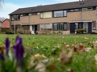 Omloop 5, 9502 RG Stadskanaal