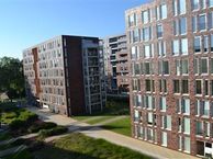 Abdijtuinen 323, 5504 EW Veldhoven