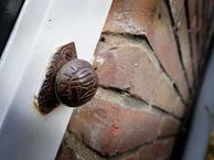 Ferdinand Bolstraat 62, 7412 GN Deventer