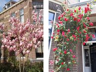 Stationsstraat 25, 8331 GJ Steenwijk