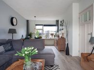 Dr W Dreesstraat 6, 3214 XH Zuidland