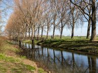 Mina Krüseman-erf 303, 3315 GL Dordrecht