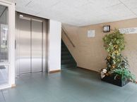 Kosterhof 19, 5582 HX Waalre