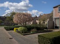 Kranendonk 1, 4907 XX Oosterhout (NB)