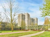 Gouden Leeuw 144, 1103 KB Amsterdam