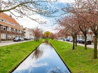 Prins Mauritssingel 41 b, 3043 PC Rotterdam