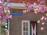 Esdoornlaan 10, 2101 WS Heemstede