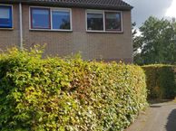 Boerhoorn 11, 9756 CK Glimmen