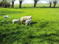 Zuidervaart 105, 1846 LH Zuidschermer