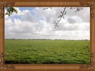 Domela Nieuwenhuisweg 100, 9245 VD Nij Beets