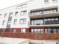 Ree 44, 5509 RD Veldhoven