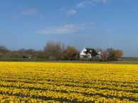 Westerduinweg 38, 1753 BA Sint Maartensvlotbrug