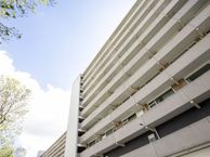 Holysingel 490, 3136 LK Vlaardingen