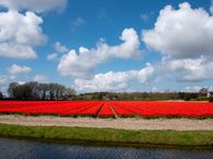 Bethlehemlaan 18, 2181 HN Hillegom