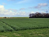 Nieuweschild 11, 1794 GG Oosterend (NH)