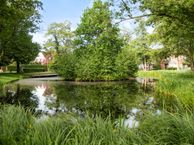 Zwanebloemweg 56, 9753 JJ Haren (GR)