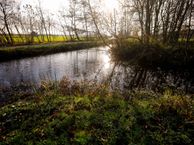 Wilnisse Zuwe 38, 3648 NL Wilnis