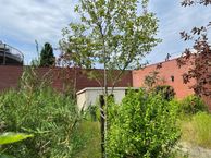 Tollensstraat 225, 6531 AD Nijmegen