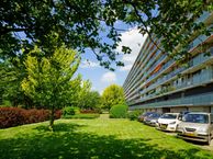 Holysingel 584, 3136 LM Vlaardingen