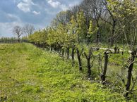 Bellefleur - bouwkavel 5, 5397 CD Lith