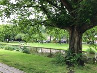 Statensingel 144 B, 3039 LW Rotterdam