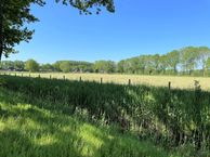 Tolakkerlaan 3 (BK 1), 3704 JA Zeist