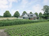 Boompjesdijk 64, 4671 PS Dinteloord