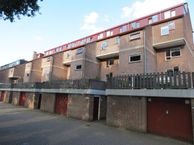 Albert van Dalsumlaan 247, 3584 HE Utrecht