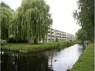 Jeroen Boschstraat 31 *, 3141 XJ Maassluis