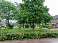 de Hazelaar 19, 6941 XJ Didam