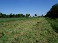 Randweg-Oost 24, 6021 PB Budel