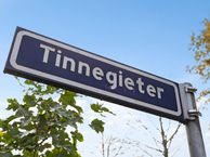 Tinnegieter 12, 5345 PM Oss