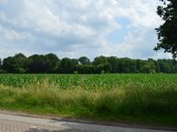 Zeelberg 44, 5555 XG Valkenswaard
