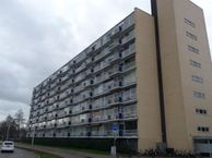 Rauwenhofflaan 24, 3571 HG Utrecht