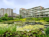 Valkenstede 22, 7905 BN Hoogeveen